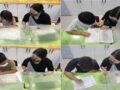 기초학습- 영어
