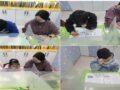 기초학습- 영어