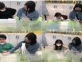 기초학습- 영어