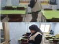 센터방역