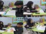기초학습